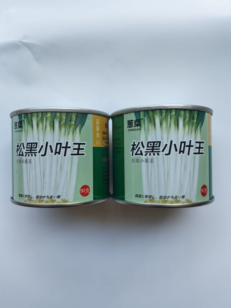 松黑小叶王大葱种子叶片直立蜡粉厚粗细均匀