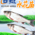 白鲢水花苗提供免费技术指导