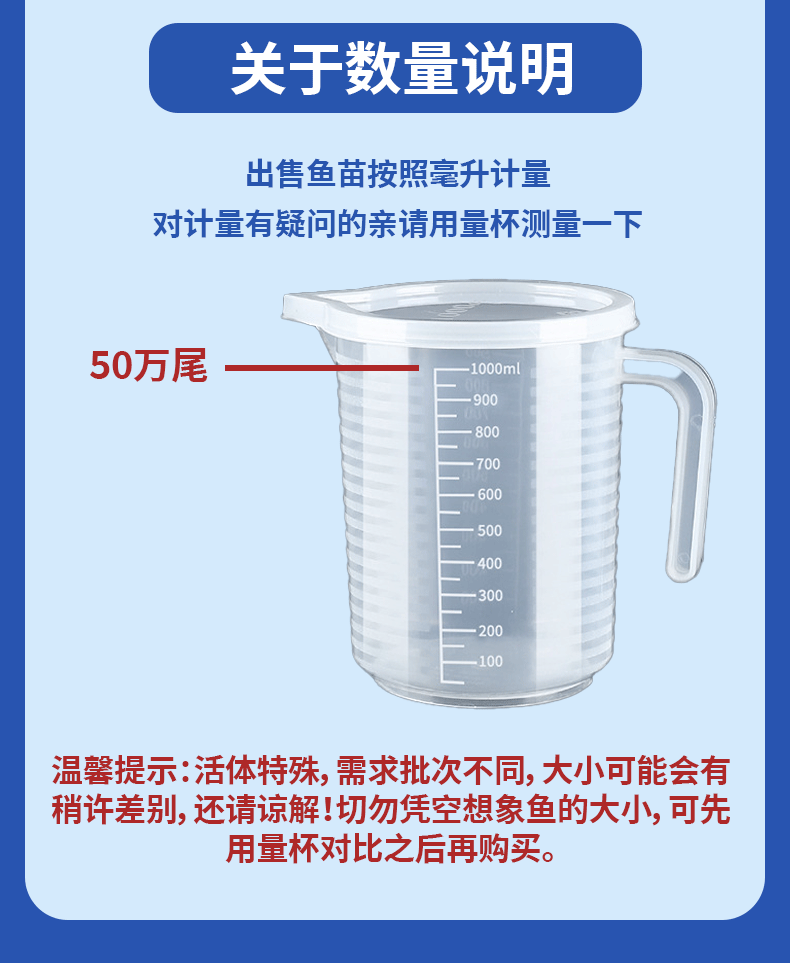 白鲢水花苗提供免费技术指导