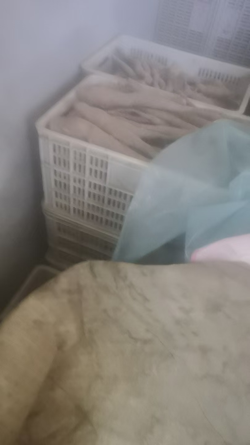山东山药豆苗，品质保证，原产地直发，价格公道优惠