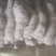山东山药豆苗，品质保证，原产地直发，价格公道优惠