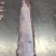 3号肉10Kg大量有货2吨起发支持加工厂订做。
