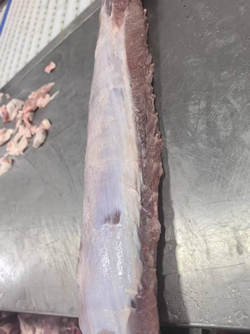 3号肉10Kg大量有货2吨起发支持加工厂订做。