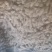 山东山药豆苗，品质保证，原产地直发，价格公道优惠