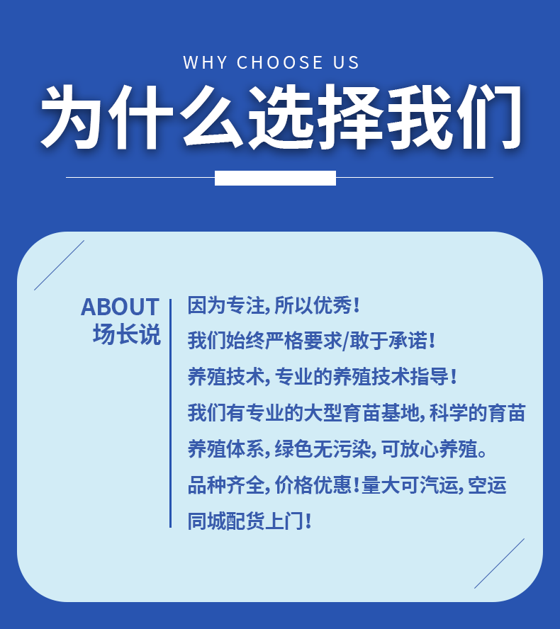 草鱼大规格鱼苗产地直供