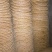豆饼大量供应可视频看货品质保证欢迎来电咨询