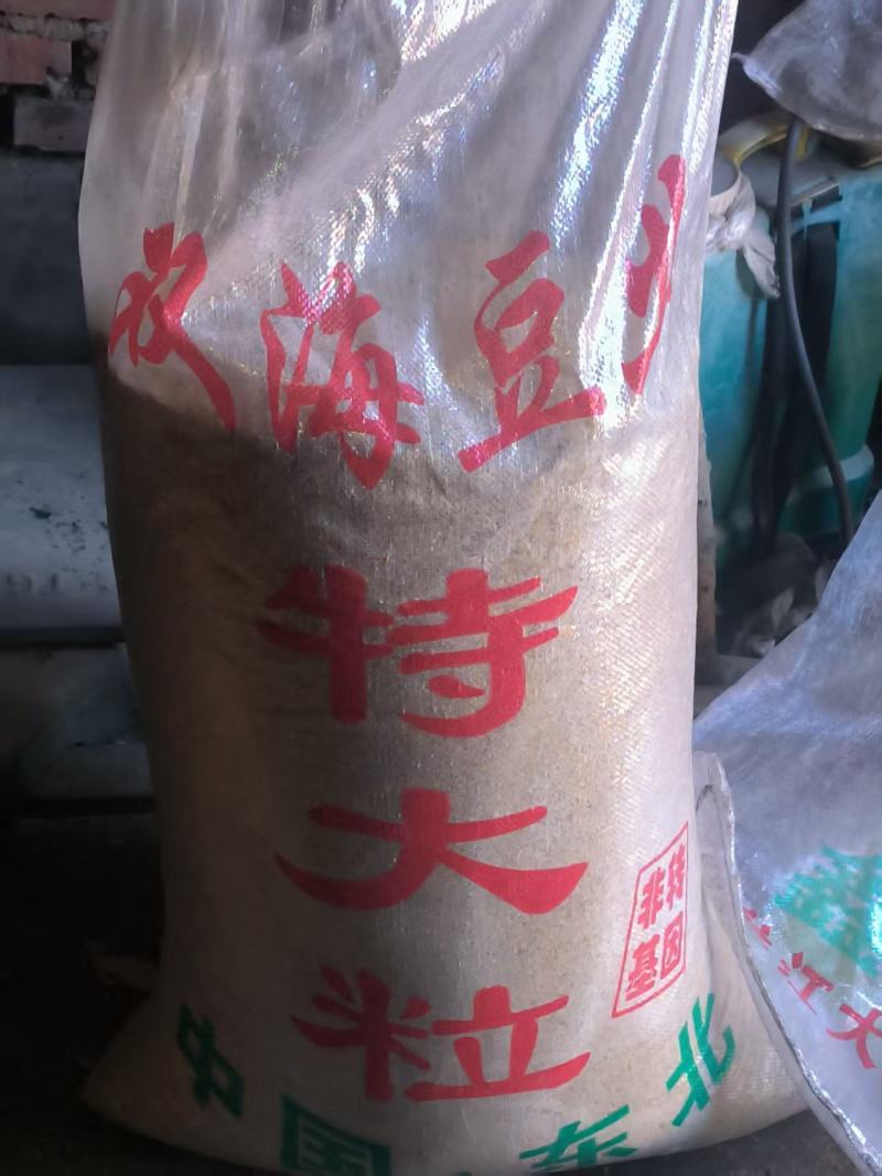 豆饼大量供应可视频看货品质保证欢迎来电咨询