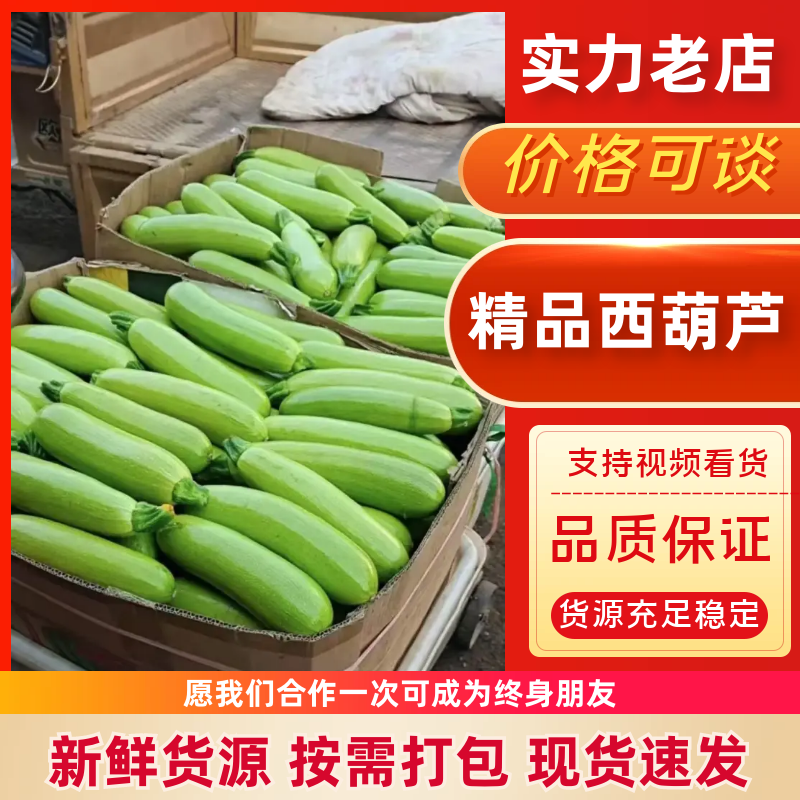 临沂西葫芦，产地果欢迎视频看货选货，价格真实