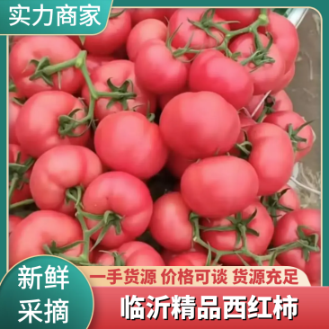 临沂f费县硬粉西红柿，产地一手，支持视频看货