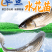 草鱼水花苗养殖基地直供