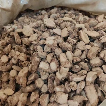【精品】沙姜干大量有货产地直发品质保证欢迎选购