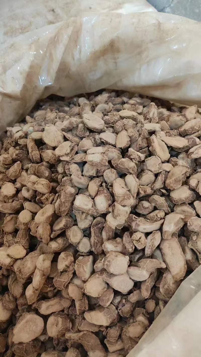 【精品】沙姜干大量有货产地直发品质保证欢迎选购