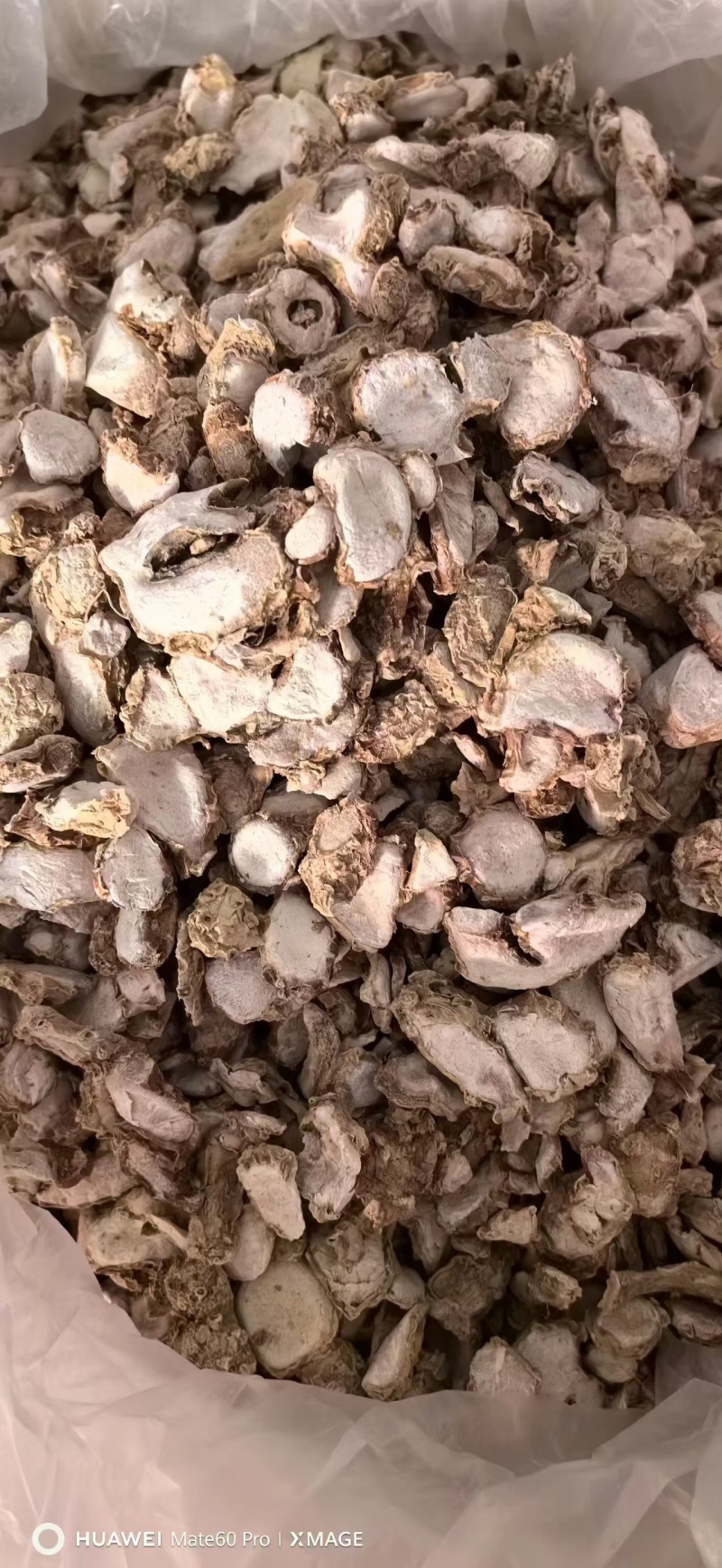 【精品】沙姜干大量有货产地直发品质保证欢迎选购