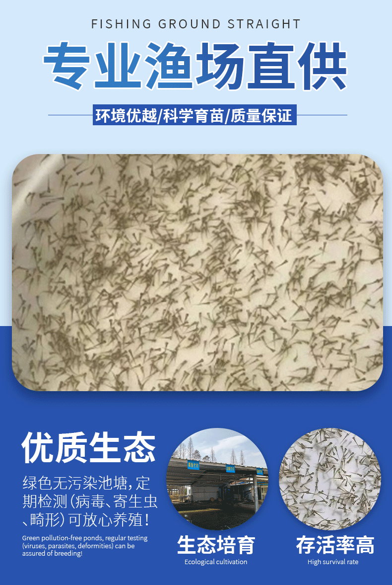 花鲢水花