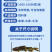 黄骨鱼苗