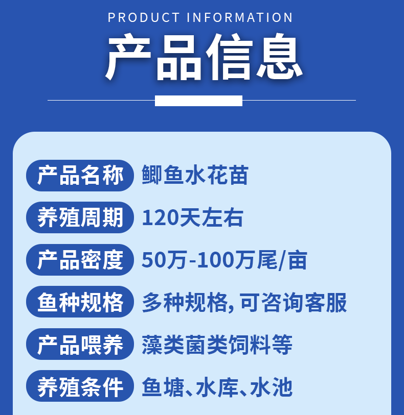 湖北洪湖鲫鱼水花鱼苗产地直供提供技术支持