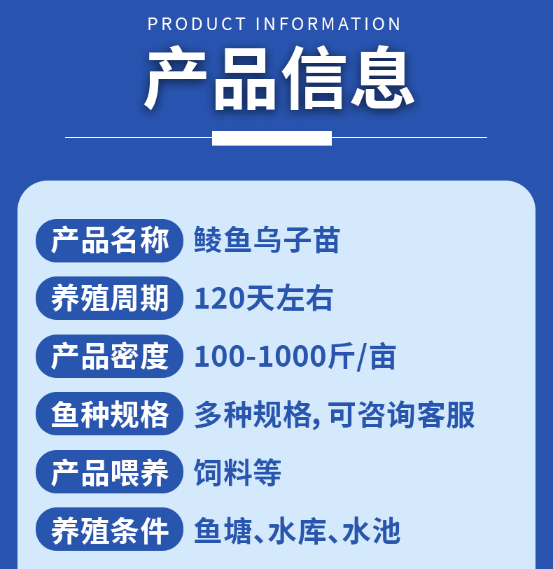 鲮鱼乌子各种规格产地直供