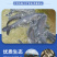 青鱼大规格产地直供提供技术指导