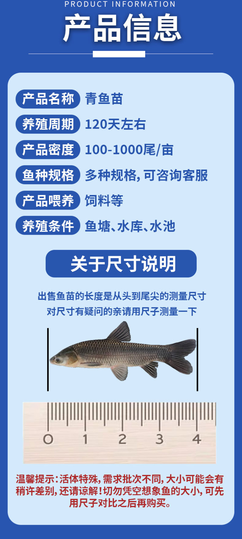 青鱼大规格产地直供提供技术指导