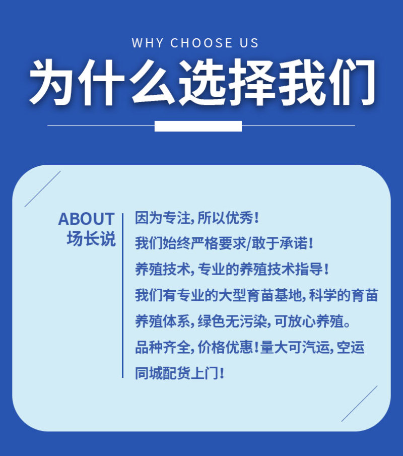 青鱼大规格产地直供提供技术指导