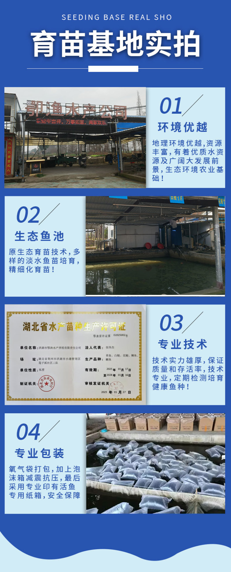 青鱼大规格产地直供提供技术指导