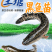 黑鱼苗湖北洪湖黑鱼苗各种规格齐全