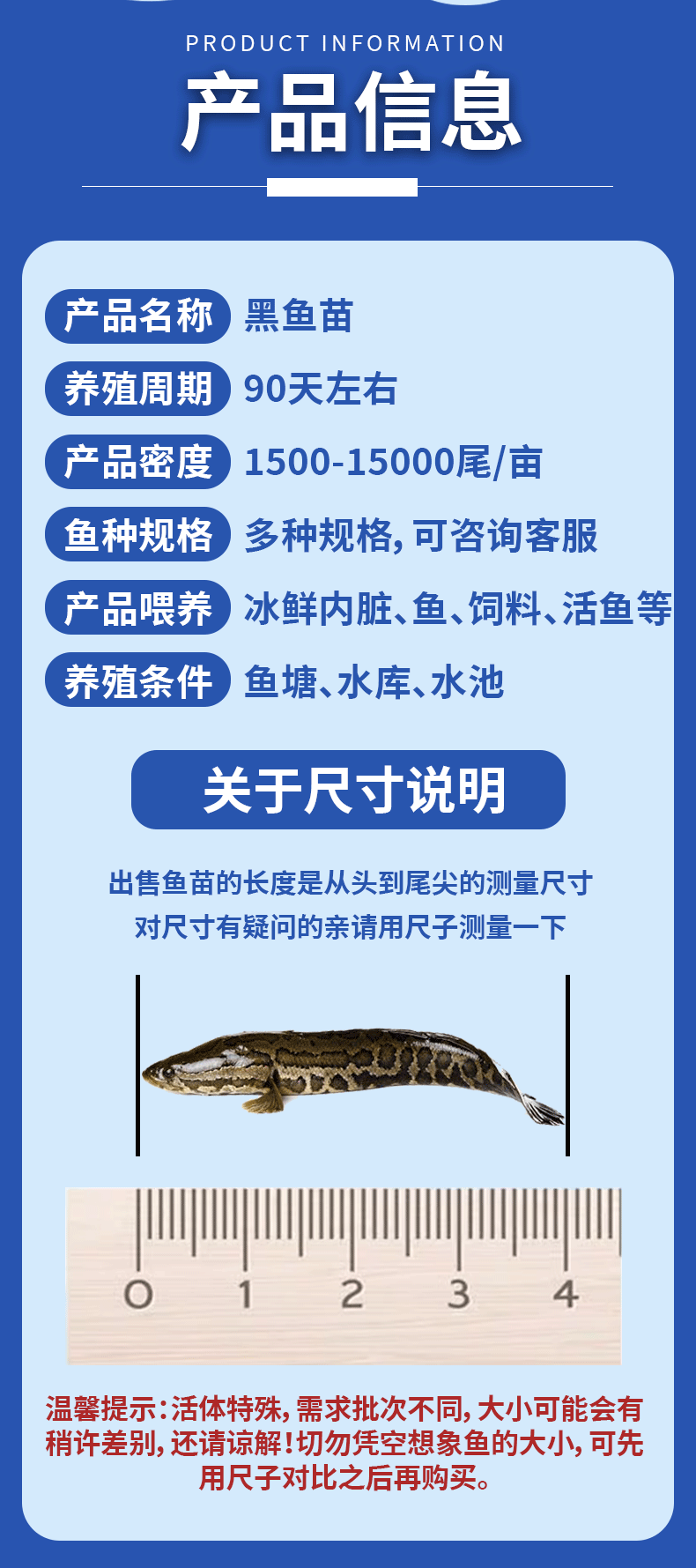 黑鱼苗湖北洪湖黑鱼苗各种规格齐全