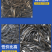 黑鱼苗湖北洪湖黑鱼苗各种规格齐全