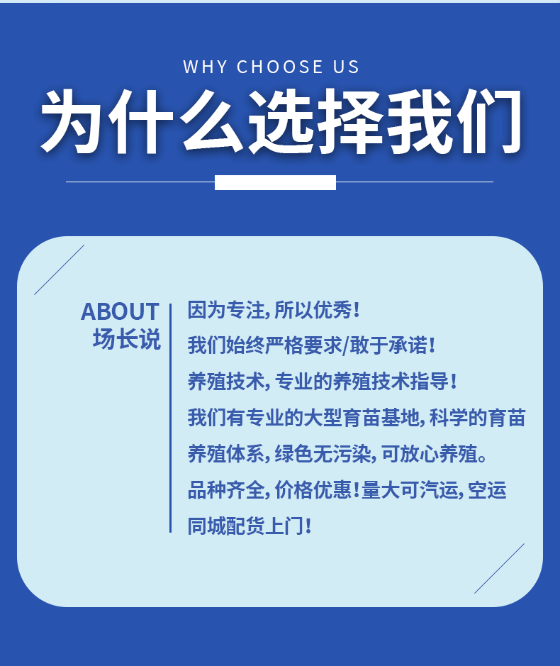 黑鱼苗湖北洪湖黑鱼苗各种规格齐全