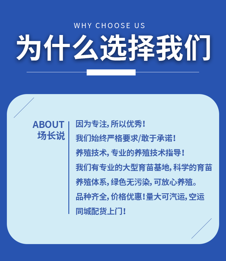 鲮鱼乌子各种规格产地直供