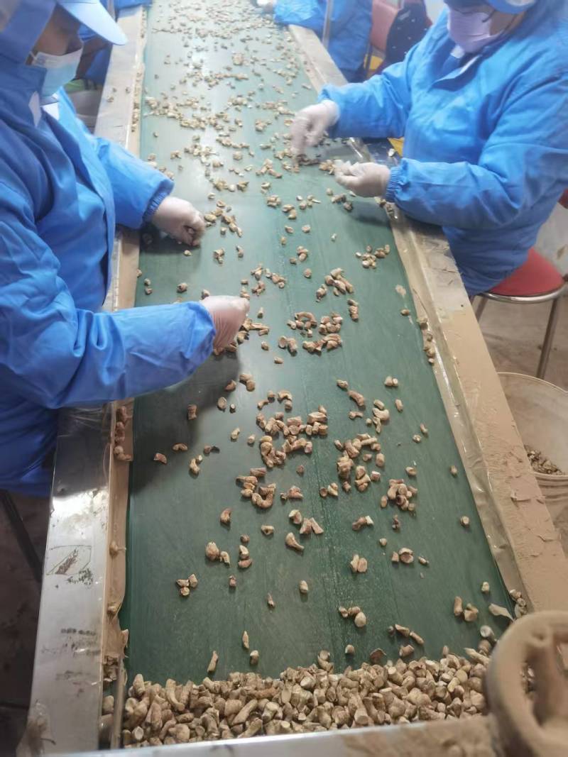 香菇腿产地直供大量有货品质保证服务周到