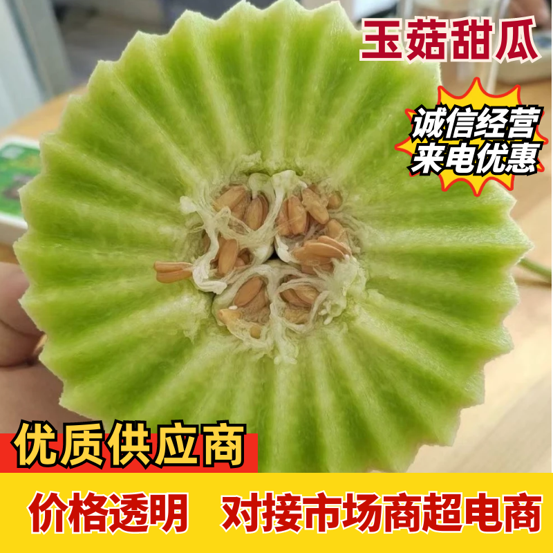 玉菇甜瓜，山东聊城莘县冰激凌玉菇甜瓜，奶香蜜甜瓜。