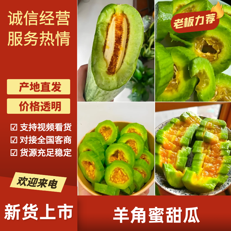 博洋六甜瓜，山东聊城莘县羊角蜜甜瓜，支持各种包装。