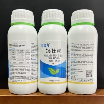 周口先达控给力50%矮壮素