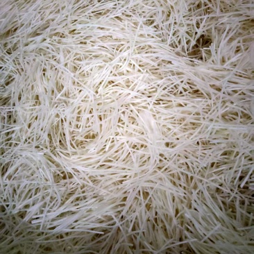 清水笋丝厂家直发对接电商市场商超可视频看货