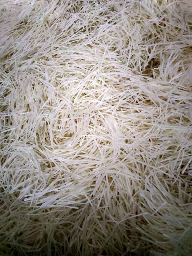 清水笋丝厂家直发对接电商市场商超可视频看货