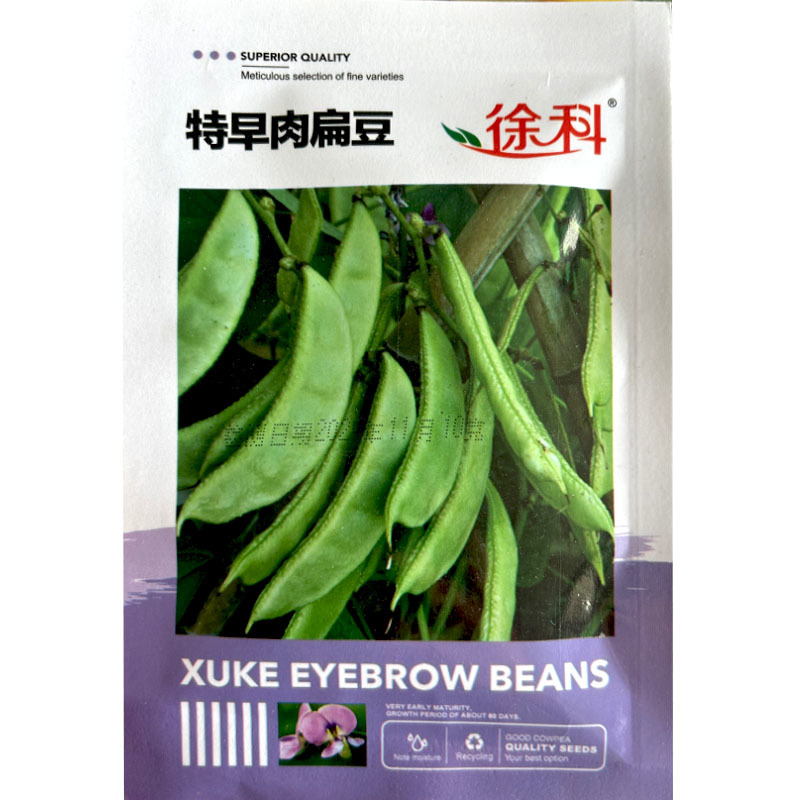 早熟肉扁豆种子肉厚紫红色花结荚率高眉豆春夏秋播种