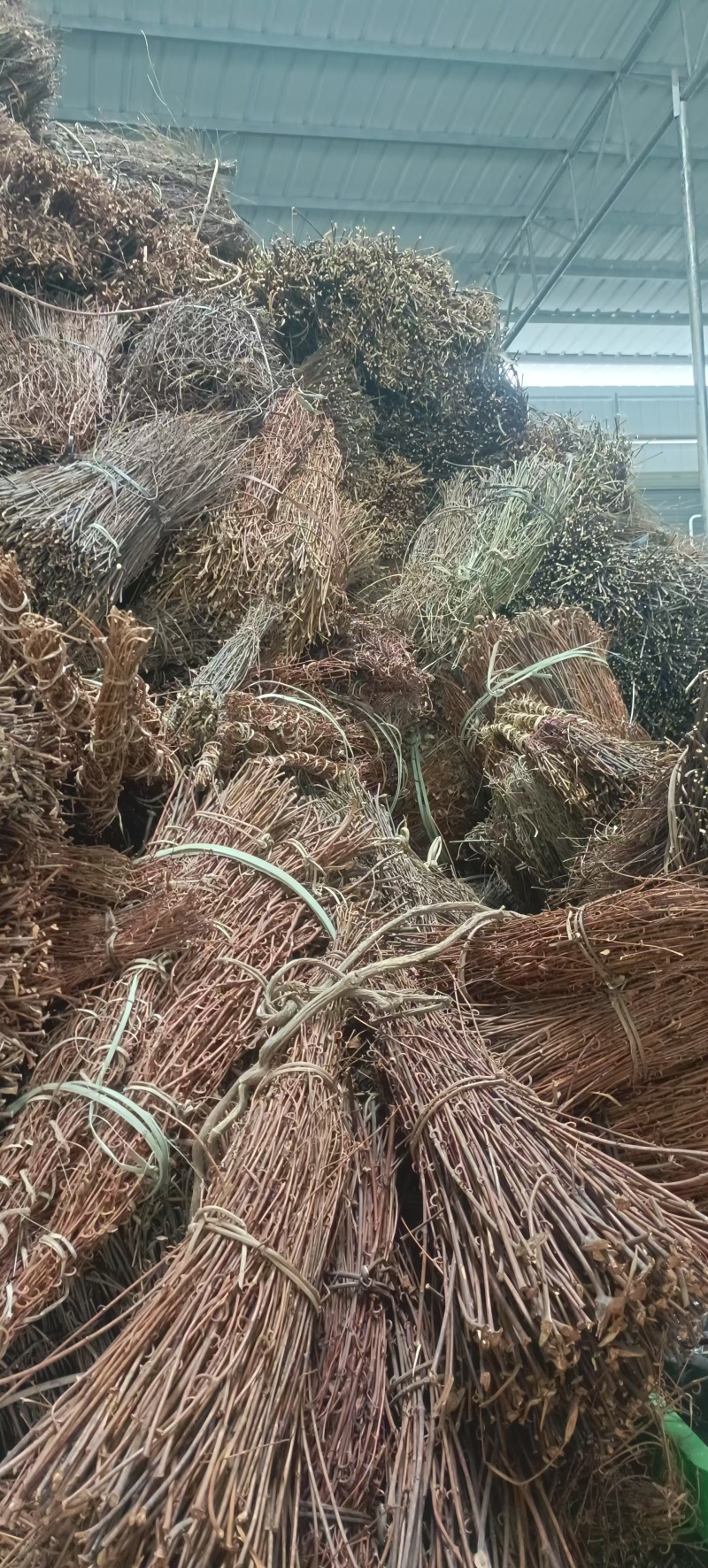 【牛商推荐】精品芶藤大量有货量大从优欢迎选购