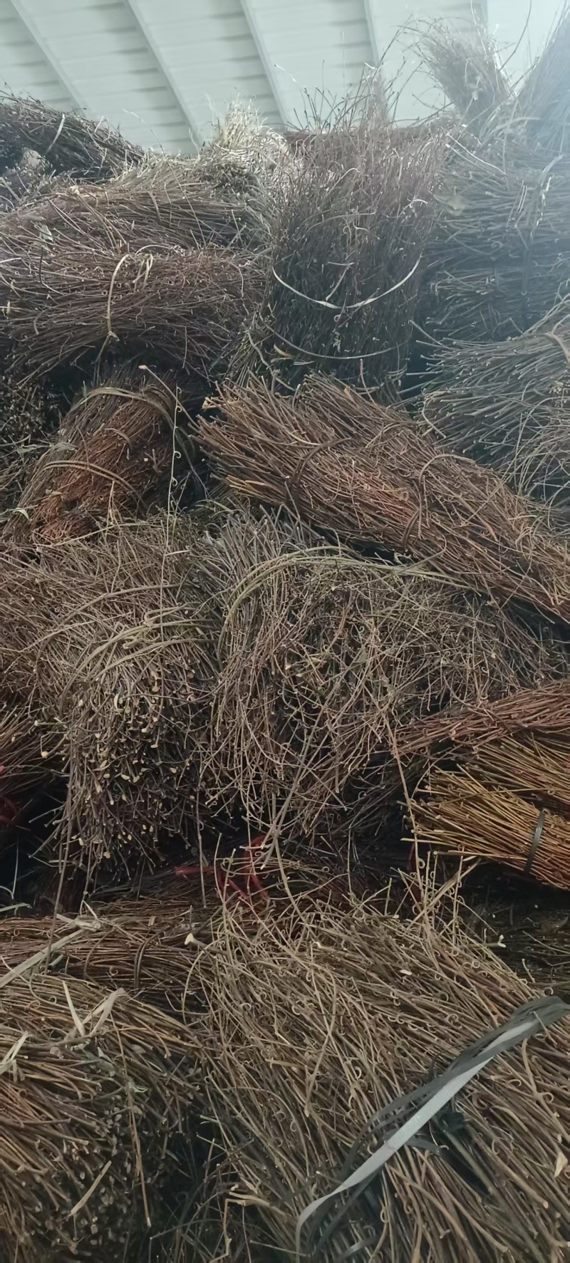 【牛商推荐】精品芶藤大量有货量大从优欢迎选购