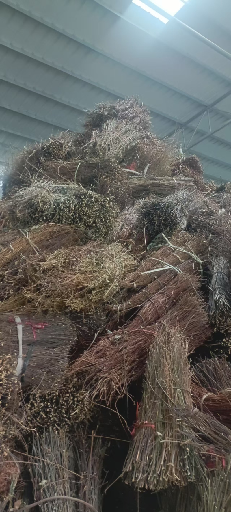 【牛商推荐】精品芶藤大量有货量大从优欢迎选购