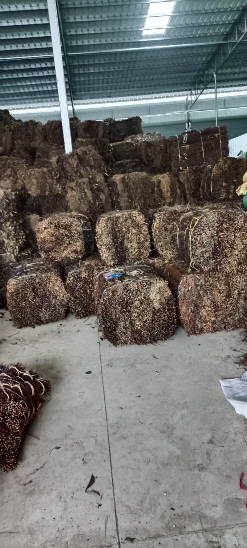 【牛商推荐】精品芶藤大量有货量大从优欢迎选购