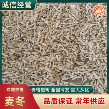 【牛商优选】四川精品川麦冬品质保证厂家直发诚信经营