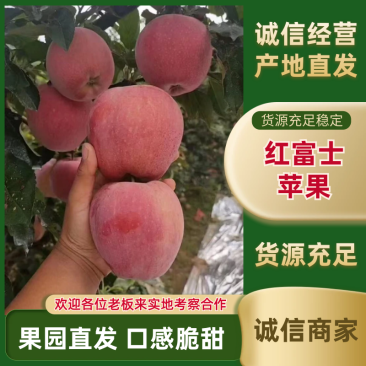 红富士苹果山东苹果全红果条纹苹果产地直发全国发货