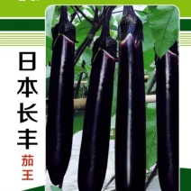 日本长丰茄子种子日本引进早熟长茄种子10克