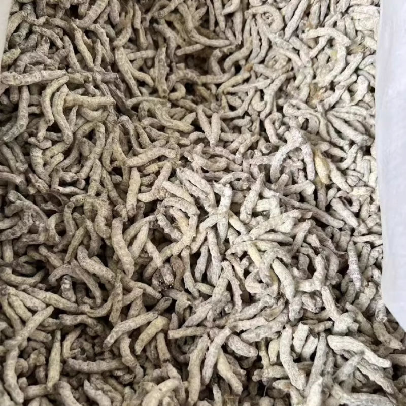 僵蚕新货无硫净货僵蚕规格齐全可供大货量大从优