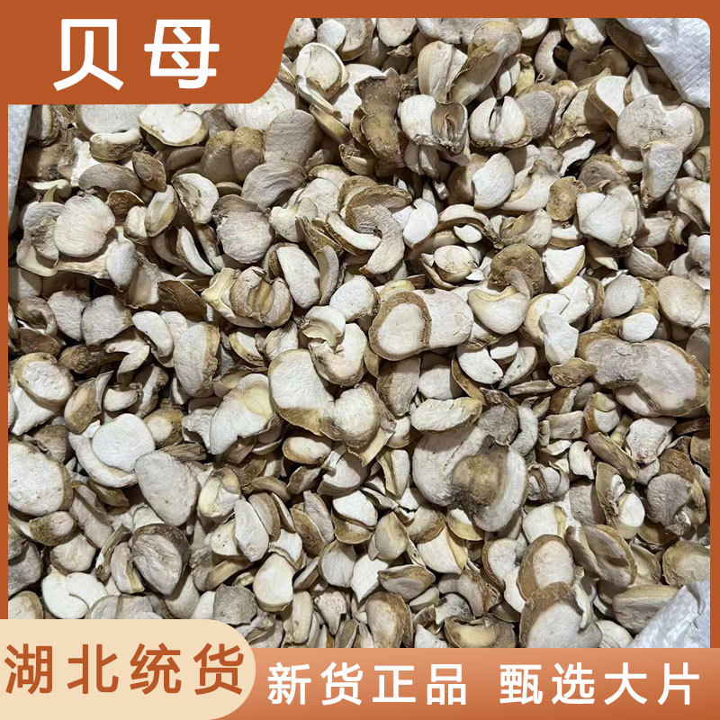 中药材贝母个贝大贝母个象贝无硫大贝新货
