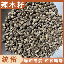 中药材批发辣木籽产地直售批发价格店铺有千种药材