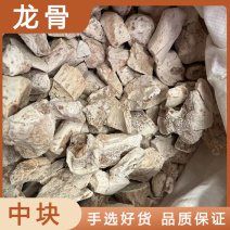 龙骨水洗龙骨批发零售各种规格中药材龙骨欢迎选购