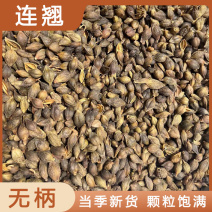 连翘青翘黄翘地道中药材常年供货批发价欢迎购买