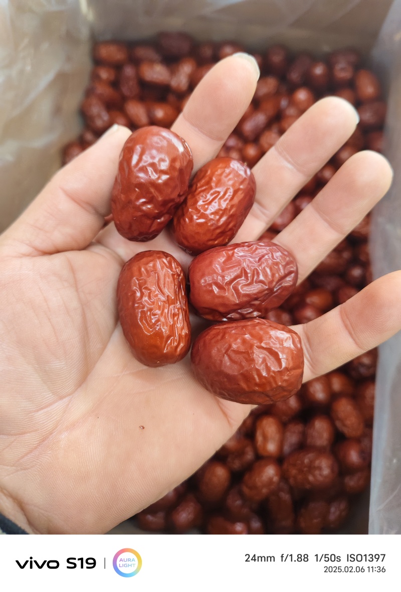新疆灰枣干货源稳定欢迎联系量大价格可谈